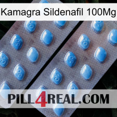 Kamagra Sildenafil 100Mg viagra4